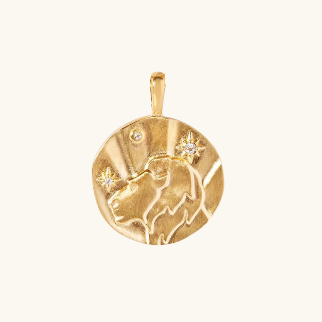 Charms Signos del Zodiaco (๐ธ๐ถ๐๐๐ถ ๐พ๐๐ธ๐๐๐พ๐น๐ถ)