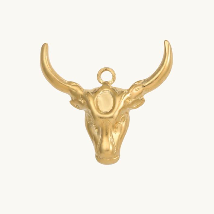 Charm Toro