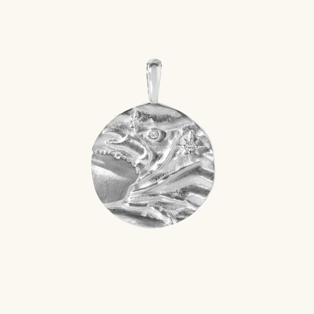 Charms Signos del Zodiaco (𝒸𝒶𝓇𝓉𝒶 𝒾𝓃𝒸𝓁𝓊𝒾𝒹𝒶)